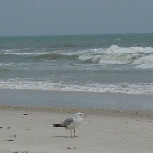 Meet your Posher, Mandy